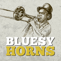 Various Artists - Bluesy Horns artwork