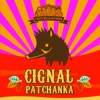 Cignal patchanka, 2014