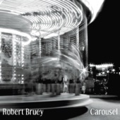 Robert Bruey - Everything