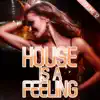 House Music (feat. Troy Fernandes) [Martin Villeneuve Remix] song lyrics