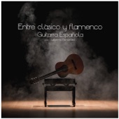 Entre Clásico y Flamenco artwork