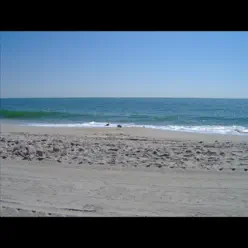 Back in New Jersey - Single - Lin Back in New Jersey - Single - Lin