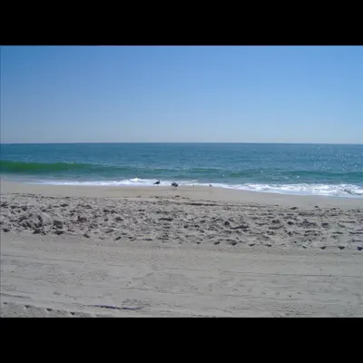 Back in New Jersey - Single - Lin