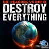 Destroy Everything - EP