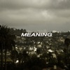 Meaning - Single