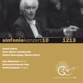 10. Sinfoniekonzert 2012/2013 artwork