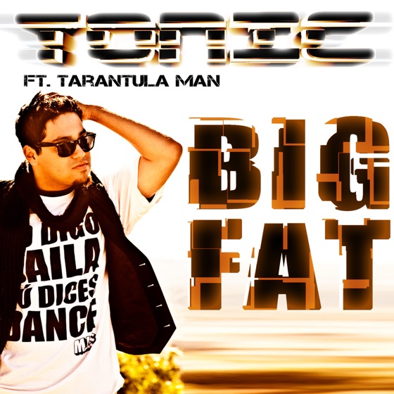 Cover artwork for Big Fat