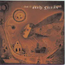 Dead Bees On a Cake - David Sylvian