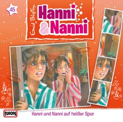 Folge 45: Hanni und Nanni auf heißer Spur