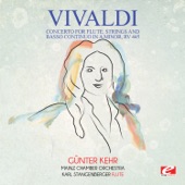Concerto for Flute, Strings and Basso Continuo in A Minor, RV 445: I. Allegro artwork