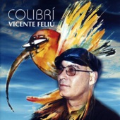 Vicente Feliú - El Colibrí