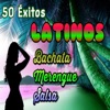 50 Éxitos Latinos - Bachata, Merengue y Salsa