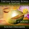Tibetan Singing Bowls (4 Hours) For Relaxation, Meditation, Reiki, Yoga, Spa, Massage and Sleep Therapy album lyrics, reviews, download