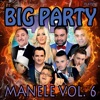 Big Party Manele, Vol. 6