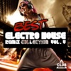 Best Electro House Remix Collection, Vol. 5