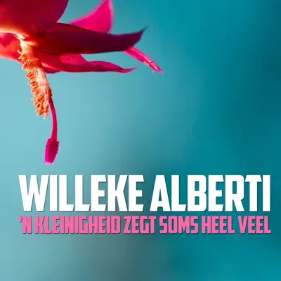 'N Kleinigheid Zegt Soms Heel Veel - Single - Willeke Alberti