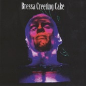 Bressa Creeting Cake - A Chip That Sells Millions