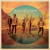 The Wild Feathers artwork