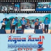 Conjunto Agua Azul - La Reyna del Rodeo (En Vivo)