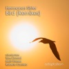 Hermanas Sister - Bird (Roberto Cantero Remix)