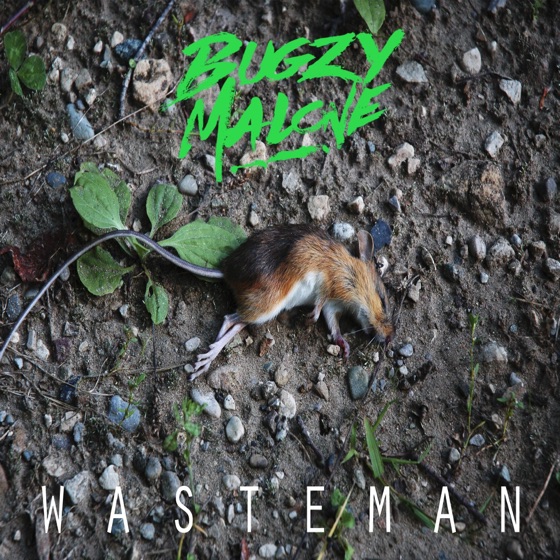 Cover artwork for WasteMan