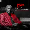 Mr Senator - Single album lyrics, reviews, download