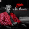 Mr Senator - Single