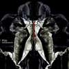 Fou - Single
