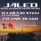 Jaleo (feat. Frank Diago) - Dj Giulio Stem lyrics