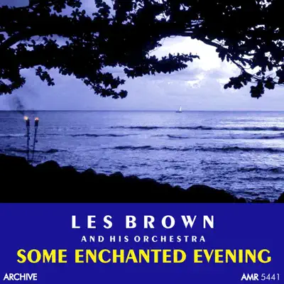 Some Enchanted Evening - Les Brown & His Orchestra
