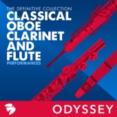 Oboe Concerto No. 3 in G Minor, HWV 287: Largo artwork