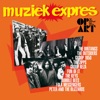 Muziek Expres (Op Art)