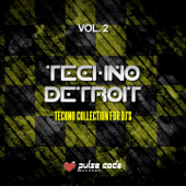 Techno Detroit, Vol. 2 (Techno Collection for DJ's) - Varios Artistas