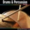 Running Accent from Bongo Drum Roll Version 1 - Digiffects Sound Effects Library lyrics