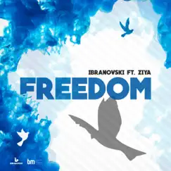 Freedom (feat. Ziya) - Single by Ibranovski album reviews, ratings, credits