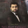 Teri Meri Kahaani - Single