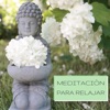 Meditaciòn para Relajar - Mùsica New Age para Relajar la Mente y el Cuerpo, Música de Meditación Instrumental para Sanar el Alma
