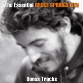 The Essential Bruce Springsteen (Bonus Tracks) artwork