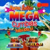 Puros Éxitos Mega Cumbias Para Bailar
