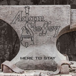 Adam Steffey - The Space I'm In