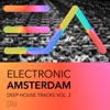 Electronic Amsterdam, Vol. 2 - Deep House Trax, 2016