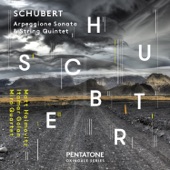Schubert: Arpeggione Sonata in A Minor, D. 821 & String Quintet in C Major, Op. 163, D. 956 artwork