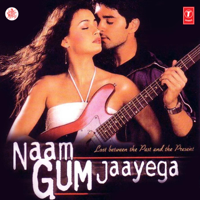 Anand-Milind - Naam Gum Jaayega (Original Motion Picture Soundtrack) artwork