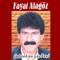 Ben Gidiyorum - Fayat Alagöz lyrics
