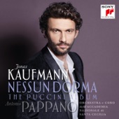 Nessun Dorma - The Puccini Album artwork
