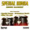 Stream & download Special Konga - Single