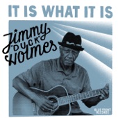 Jimmy "Duck" Holmes - It Had to Be the Devil