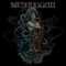 Born in Dissonance - Meshuggah lyrics