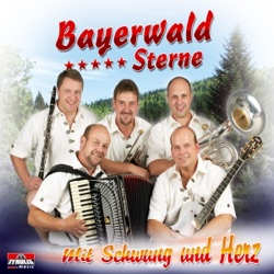 Bayerwald Sterne - Dorffest beim Taxwirt