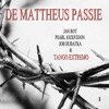 De Mattheus Passie, Vol. 1